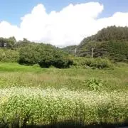 エムエムの画像