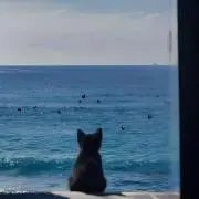 オンマの画像