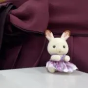 R ((期間限定セール中！！の画像