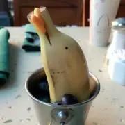 ココナッツの画像