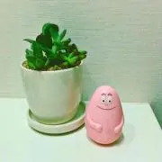 kurukuru