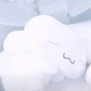 しなさんの画像