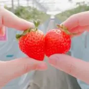 ぷうちゃんの画像