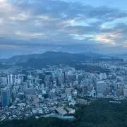 フィリアの画像