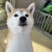 まーちんの画像