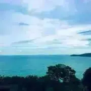 ろろの画像