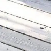 のの画像