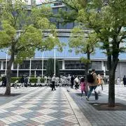 じょんの画像