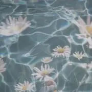 amuの画像