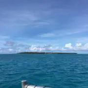 たくやの画像