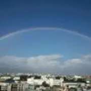 青雨