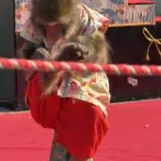 まさの画像