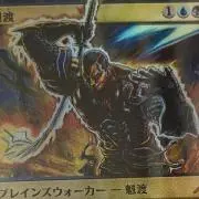 リュウリュウの画像