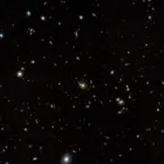 semaの画像