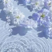 ‪‪❤︎‬の画像