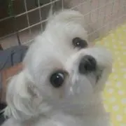 みとのママ