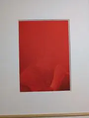ピロシキの画像