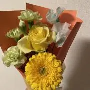 ぽっちの画像