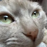 あさせ☆の画像
