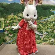 わかさんの画像