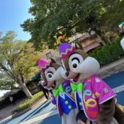 むぎちょこ