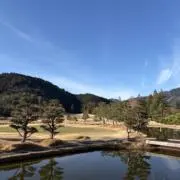 ケンケンの画像