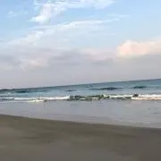 ケニーゴンタの画像