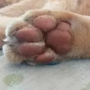 はっち