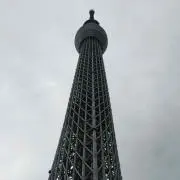 みかん