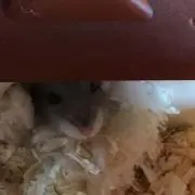 ょうちゃん♪