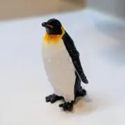 KBYMの画像