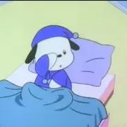 jsjの画像