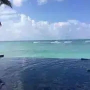 Dolphin♡の画像