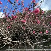 世界に優しく