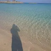 ころすけの画像