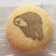 さるの画像