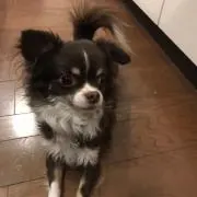 ほしあや