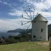 HAの画像