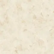 まるの画像