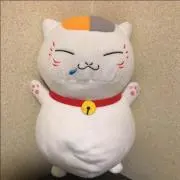 にゃんこ先生の画像