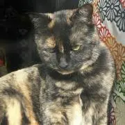 パーちゃん(*^^*)の画像