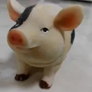 BUBUの画像