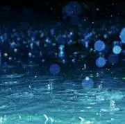 Rainの画像