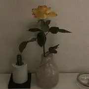 모の画像