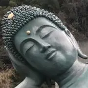 ゴルの画像