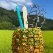 Runkanの画像