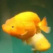 291 291の画像