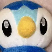 あいちゃんの画像