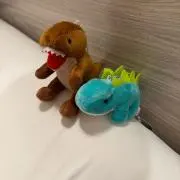 みーの画像