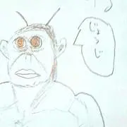 タヌキ